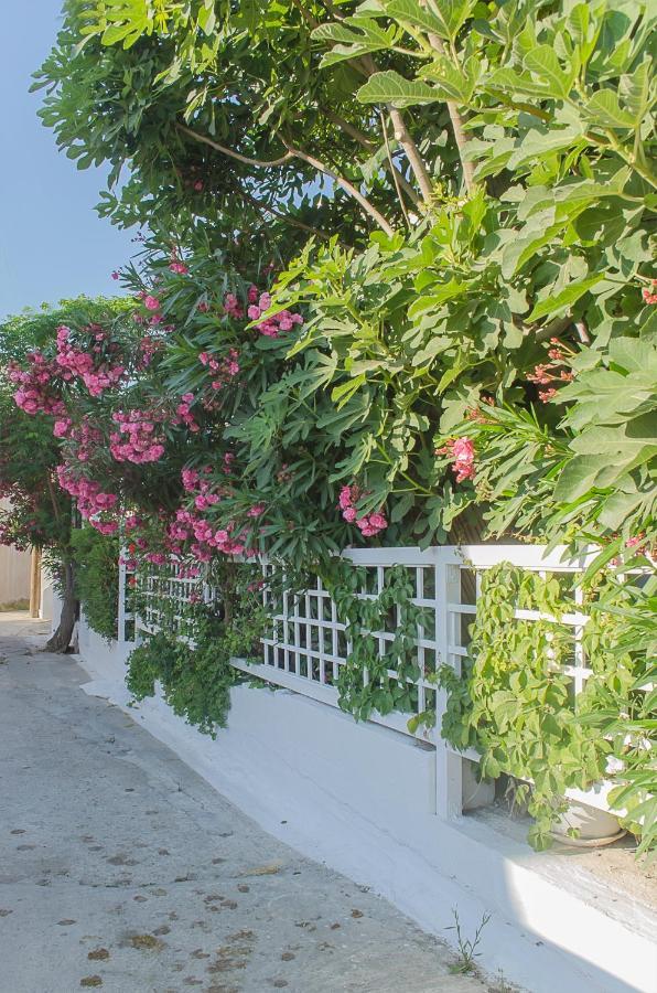 Kalypso Studios & Rooms Palaiochora Dış mekan fotoğraf