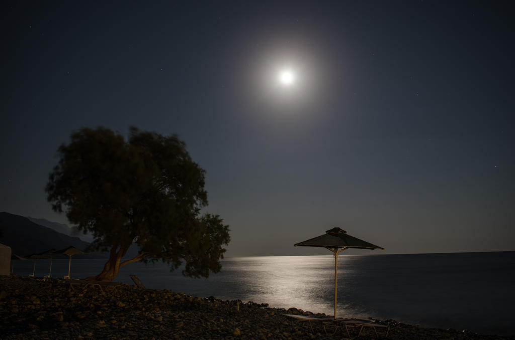 Kalypso Studios & Rooms Palaiochora Dış mekan fotoğraf